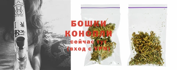 СК Мегион