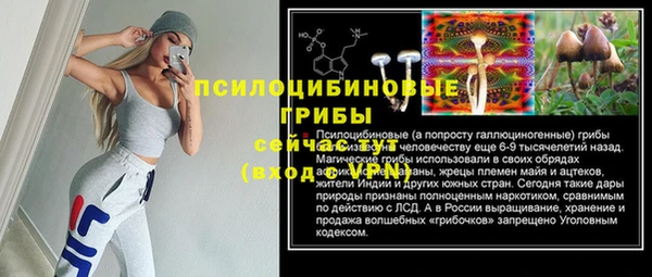 СК Мегион