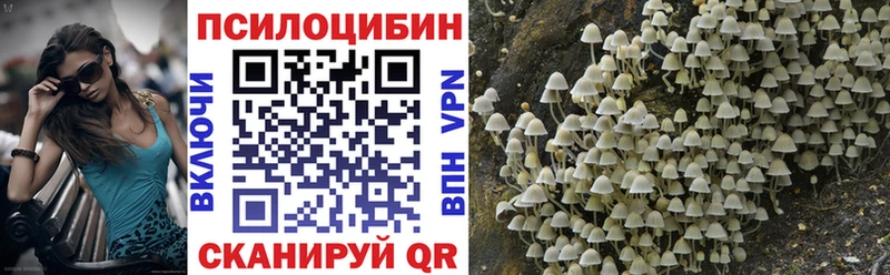 Галлюциногенные грибы прущие грибы  shop как зайти  Подпорожье 